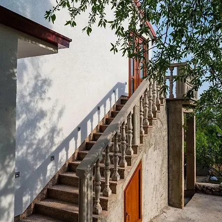 Adam 斯塔利格拉德-帕克利尼卡